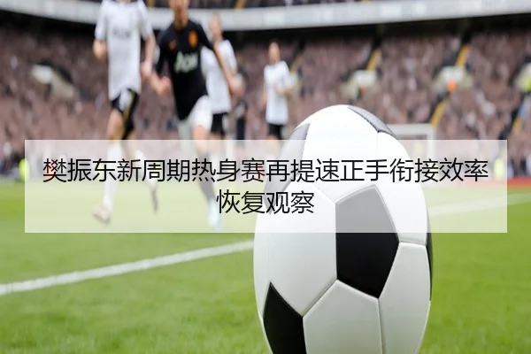 樊振东新周期热身赛再提速正手衔接效率恢复观察